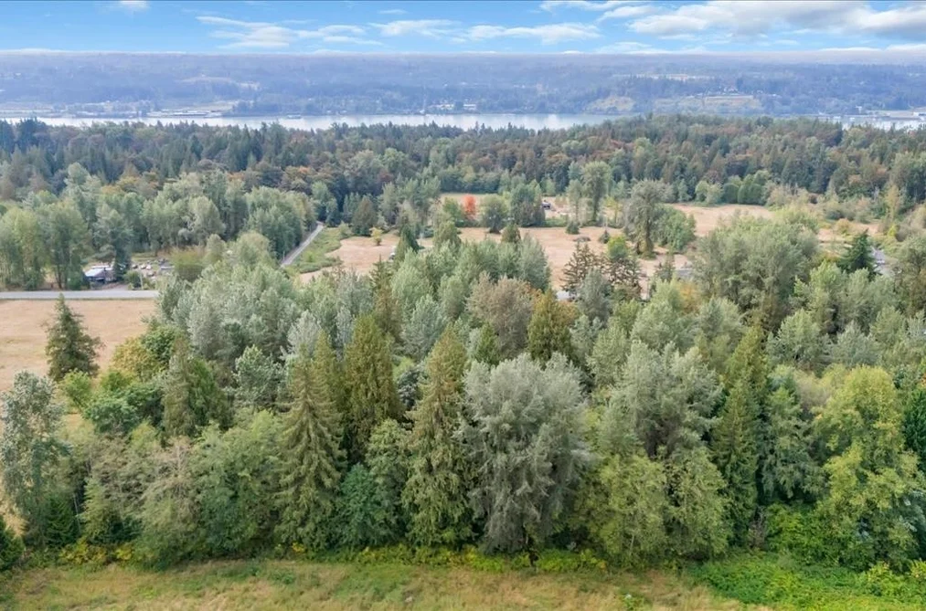 25181 100 Avenue, Maple Ridge, BC - MLS: R3164768 - Photo 4 25181 100 Avenue, Maple Ridge, BC - MLS: R3164768 - Photo 4