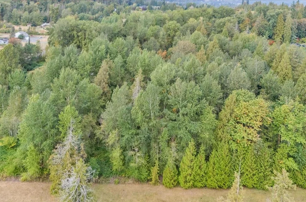 25181 100 Avenue, Maple Ridge, BC - MLS: R3164768 - Photo 5 25181 100 Avenue, Maple Ridge, BC - MLS: R3164768 - Photo 5