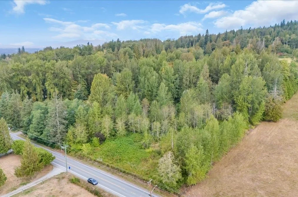 25181 100 Avenue, Maple Ridge, BC - MLS: R3164768 - Photo 6 25181 100 Avenue, Maple Ridge, BC - MLS: R3164768 - Photo 6