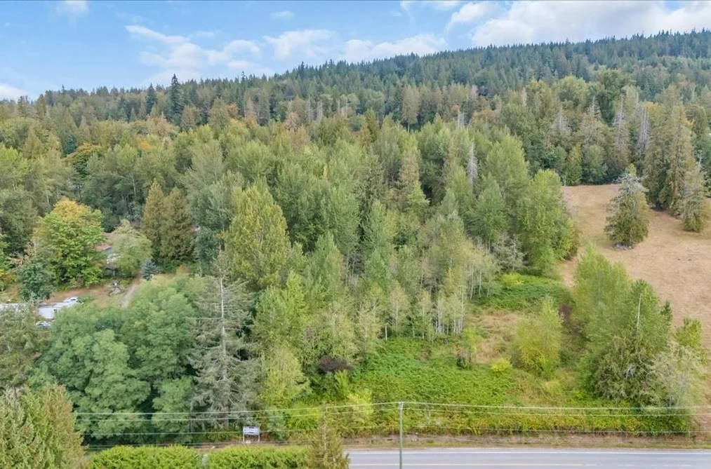 25181 100 Avenue, Maple Ridge, BC - MLS: R3164768 - Photo 7 25181 100 Avenue, Maple Ridge, BC - MLS: R3164768 - Photo 7