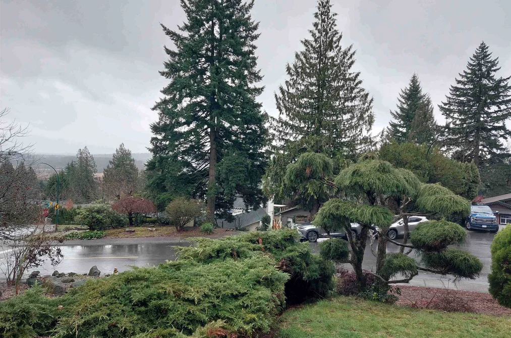 2519 PENSHURST COURT, Coquitlam BC V3K 5S2, Coquitlam BC — Residential for Sale - Photo 5