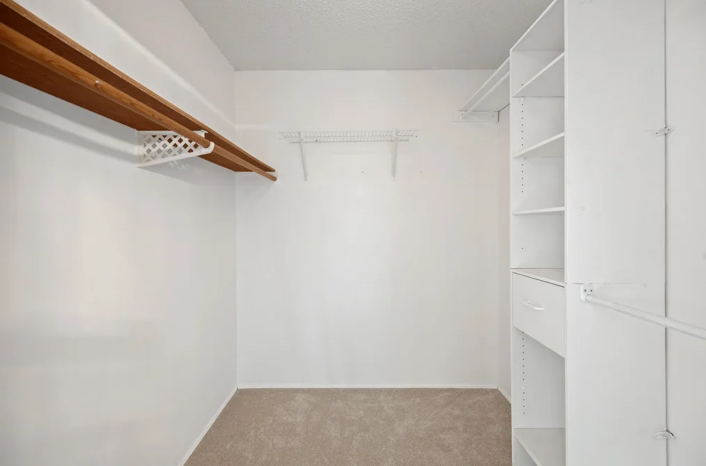 2556 Trillium Place, Coquitlam, BC - MLS: R3162914 - Photo 20