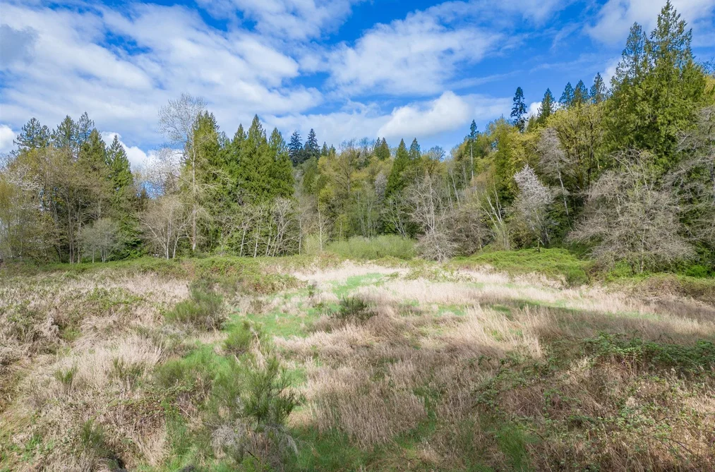 25655 LOUGHEED HIGHWAY, Maple Ridge BC V2W 1M3, Maple Ridge BC — Land for Sale - Photo 3