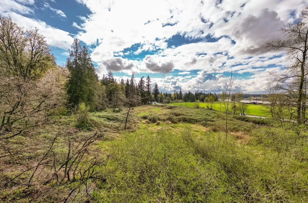 25655 LOUGHEED HIGHWAY, Maple Ridge BC V2W 1M3, Maple Ridge BC — Land for Sale - Photo 4