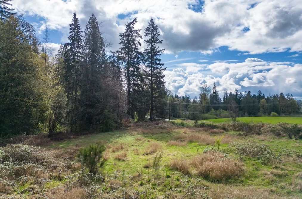 25655 LOUGHEED HIGHWAY, Maple Ridge BC V2W 1M3, Maple Ridge BC — Land for Sale - Photo 5