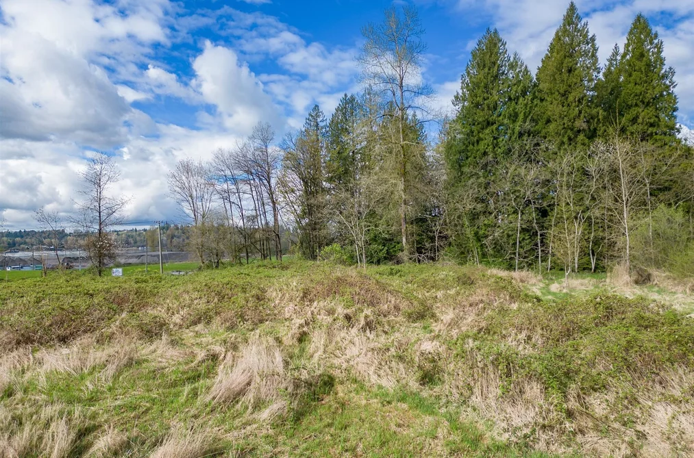 25655 LOUGHEED HIGHWAY, Maple Ridge BC V2W 1M3, Maple Ridge BC — Land for Sale - Photo 6