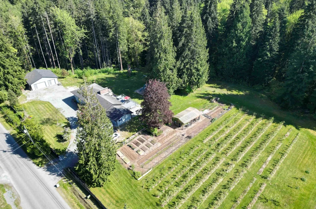 House for sale at 25908 124 Avenue Maple Ridge British Columbia - MLS: R3159094