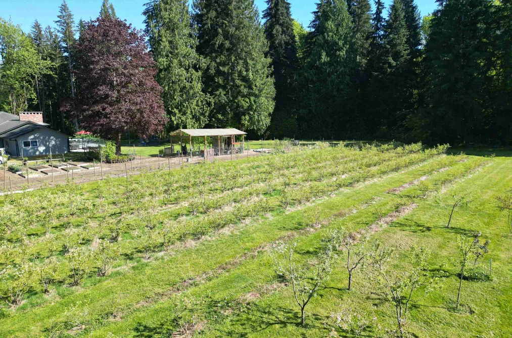 25908 124 AVENUE, Maple Ridge BC V4R 1B8, Maple Ridge BC — Residential for Sale - Photo 5