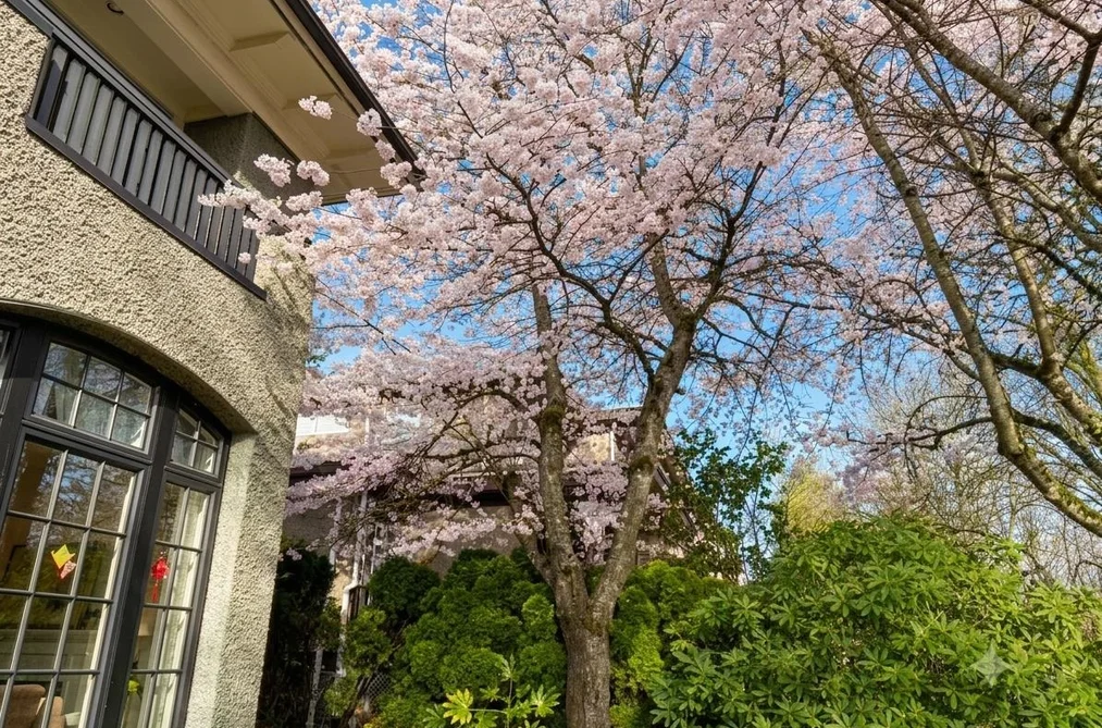 2599 W 36TH AVENUE, Vancouver BC V6N 2P6, Vancouver BC — Residential for Sale — Photo 3 of 40