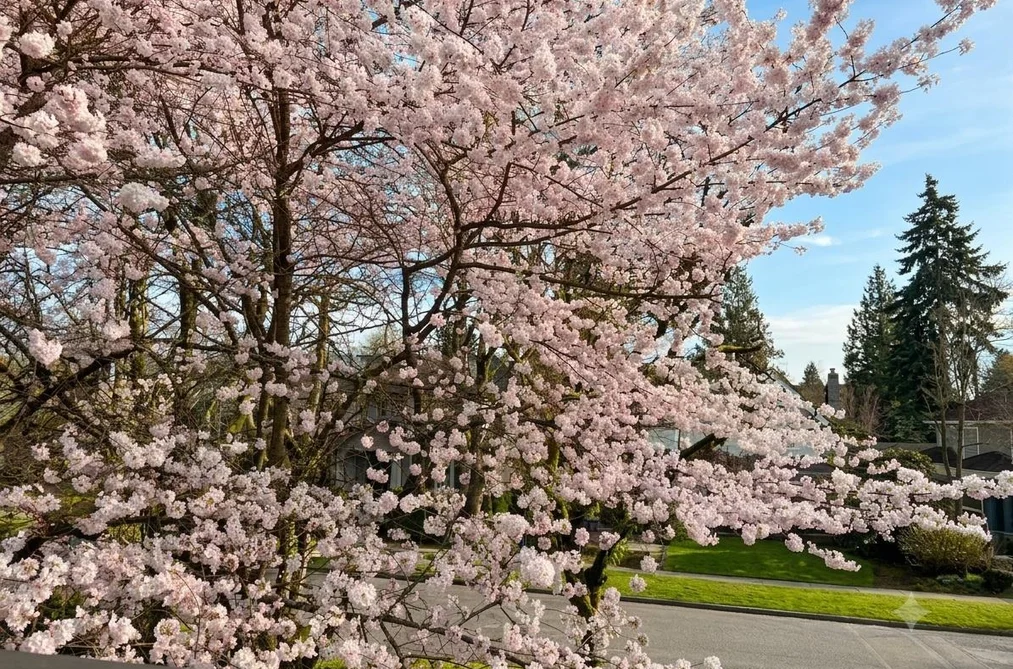 2599 W 36TH AVENUE, Vancouver BC V6N 2P6, Vancouver BC — Residential for Sale — Photo 4 of 40