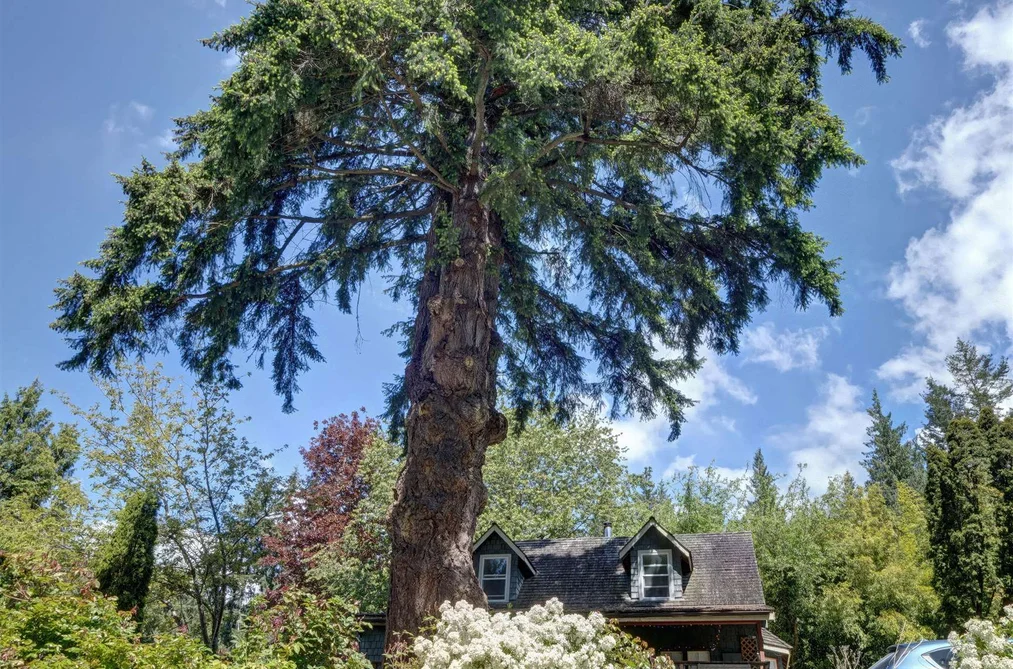 House for sale at 2602 Lower Road Roberts Creek British Columbia - MLS: R3082190
