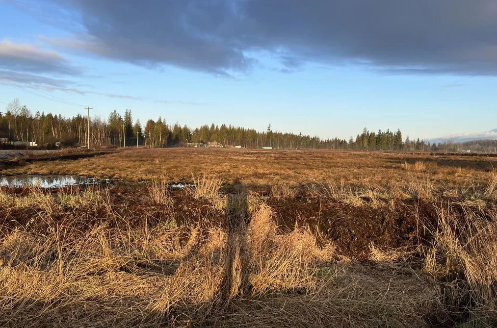 26215 84 AVENUE, Langley BC V1M 3M6, Langley BC — Land for Sale - Photo 2