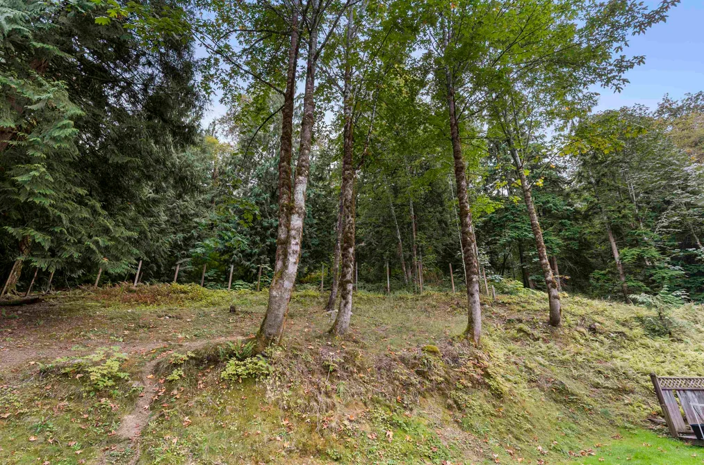 26280 Grant Avenue, Maple Ridge, BC - MLS: R3164596 - Photo 36 26280 Grant Avenue, Maple Ridge, BC - MLS: R3164596 - Photo 36