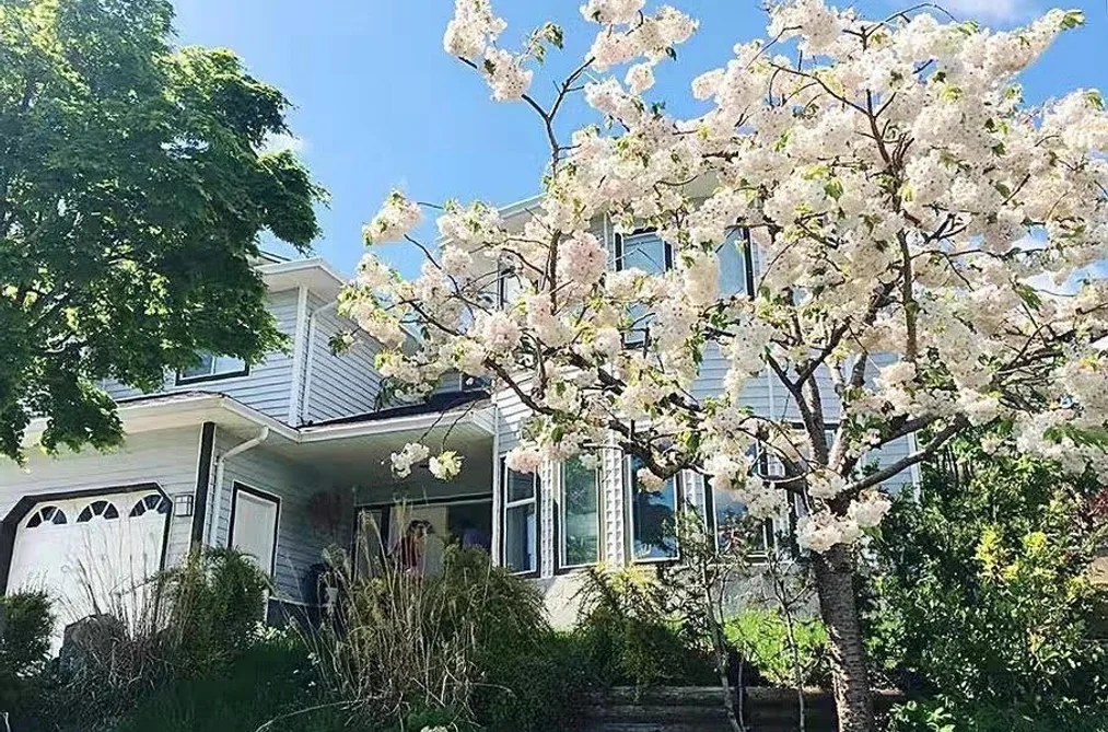House for sale at 2655 Delahaye Drive Coquitlam British Columbia - MLS: R3112756
