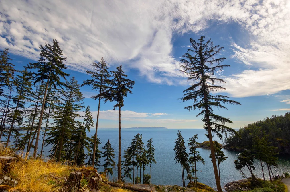 Property for sale at 266 Shore Lane Bowen Island British Columbia - MLS: R3086750
