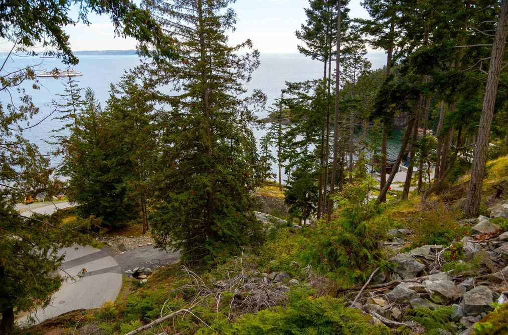 266 SHORE LANE, Bowen Island BC V0N 1G2, Bowen Island BC — Land for Sale - Photo 6