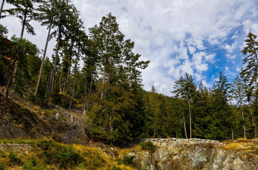 266 SHORE LANE, Bowen Island BC V0N 1G2, Bowen Island BC — Land for Sale - Photo 7