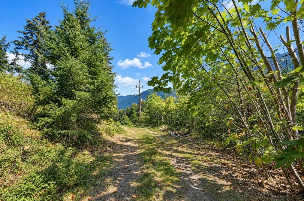 26793 Dogwood Valley Road, Hope, BC - MLS: R3164311 - Photo 10 26793 Dogwood Valley Road, Hope, BC - MLS: R3164311 - Photo 10