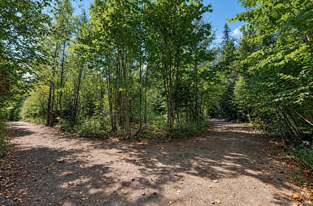 26793 Dogwood Valley Road, Hope, BC - MLS: R3164311 - Photo 9 26793 Dogwood Valley Road, Hope, BC - MLS: R3164311 - Photo 9