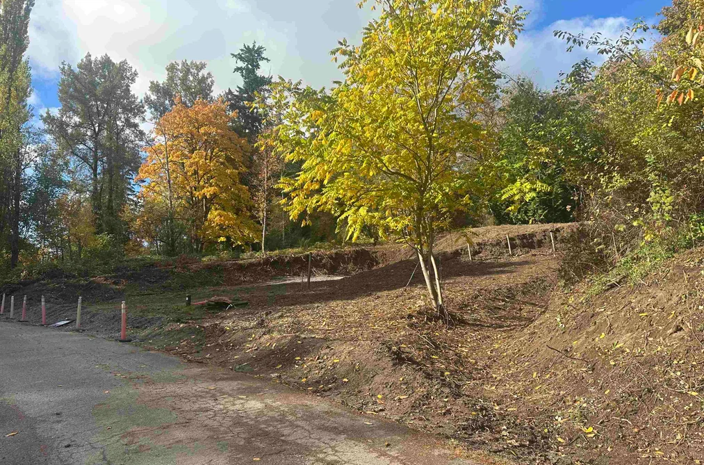 26861 OLIVER AVENUE, Maple Ridge BC V2W 1M4, Maple Ridge BC — Land for Sale - Photo 5