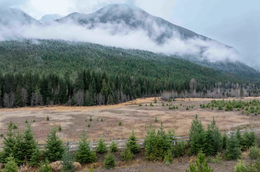 2690 BLACKWATER ROAD, D'Arcy BC V0N 2L3, D'Arcy BC — Land for Sale - Photo 6