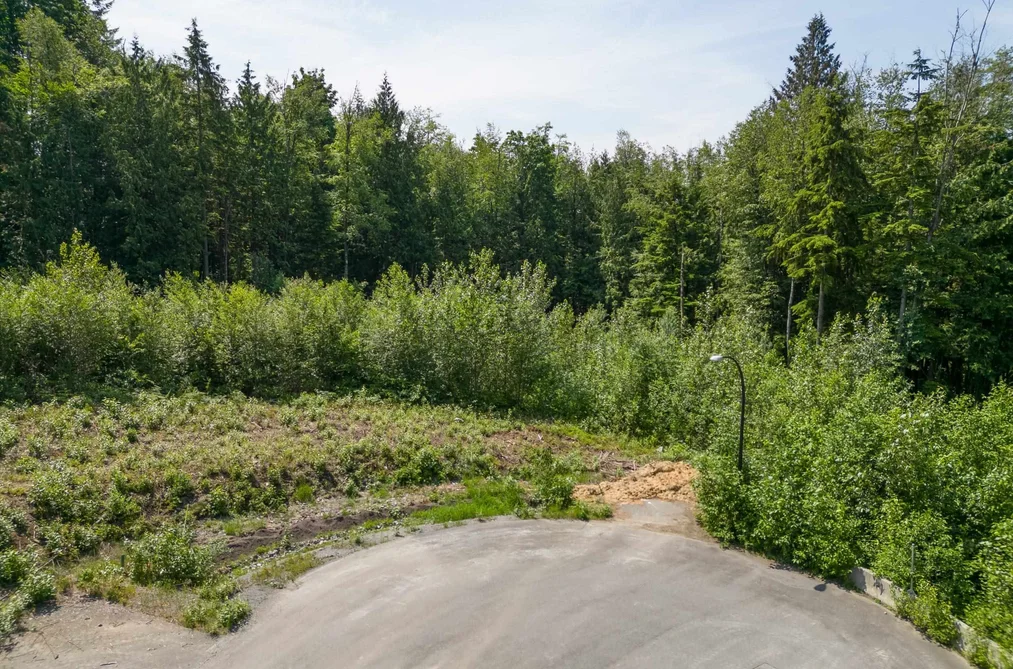 27018 124B AVENUE, Maple Ridge BC V2W 1C2, Maple Ridge BC — Land for Sale - Photo 3