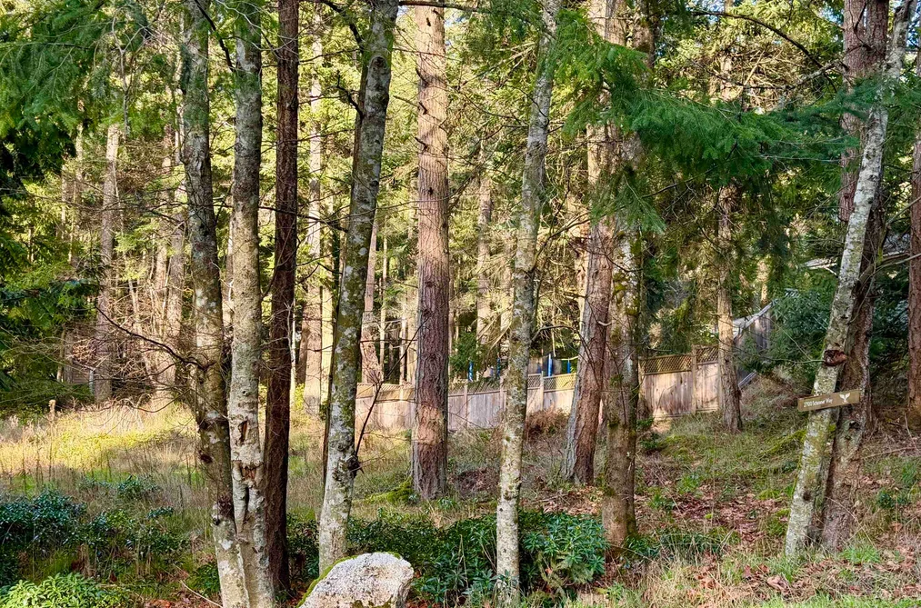 27100 SCHOONER WAY, Pender Island BC V0N 2M2, Pender Island BC — Land for Sale - Photo 4