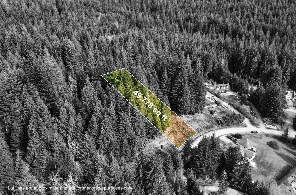 27629 128 AVENUE, Maple Ridge BC V2W 1N5, Maple Ridge BC — Land for Sale - Photo 4