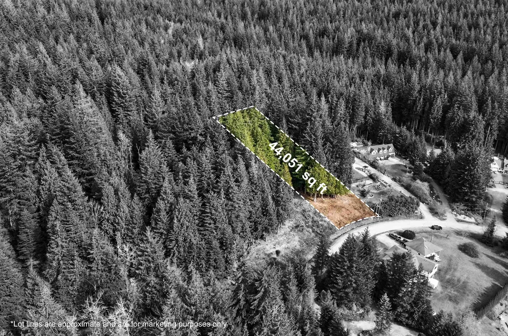 27641 128 AVENUE, Maple Ridge BC V2W 1N5, Maple Ridge BC — Land for Sale - Photo 2