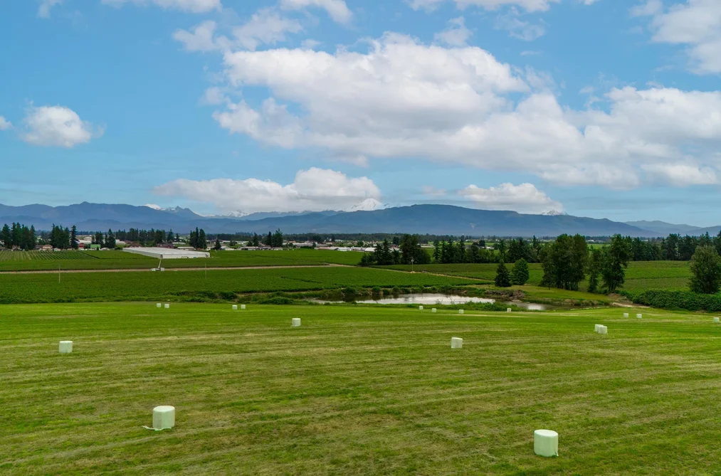 28116 HUNTINGDON ROAD, Abbotsford BC V4X 1A3, Abbotsford BC — Land for Sale — Photo 3 of 20