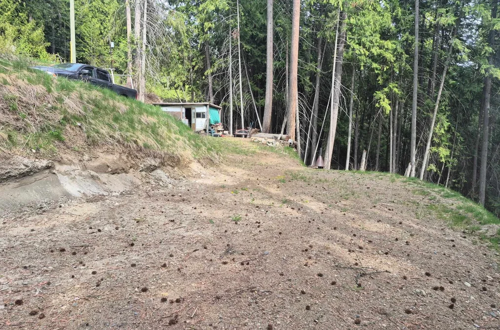 2818 VICKERS TRAIL, Columbia Valley BC V0E 1M8, Columbia Valley BC — Land for Sale - Photo 2