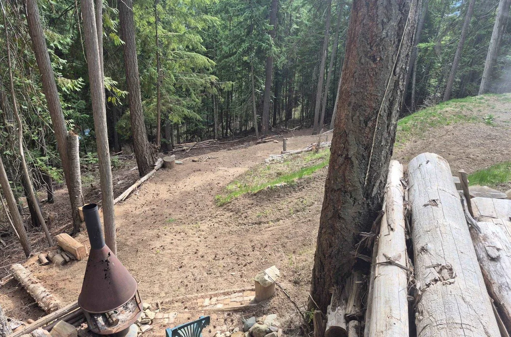 2818 VICKERS TRAIL, Columbia Valley BC V0E 1M8, Columbia Valley BC — Land for Sale - Photo 3