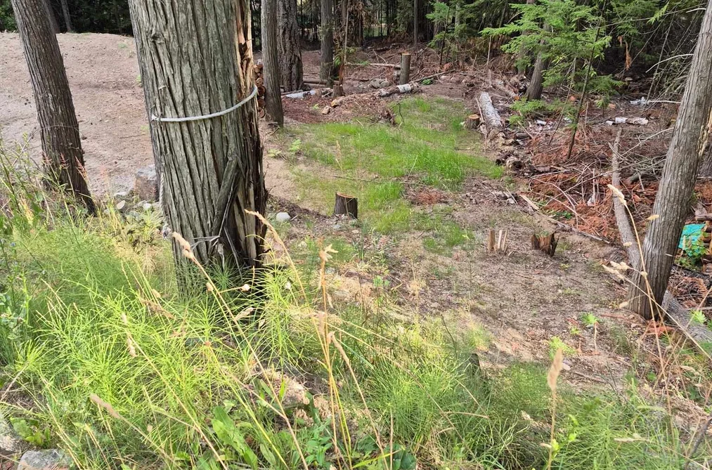 2818 VICKERS TRAIL, Columbia Valley BC V0E 1M8, Columbia Valley BC — Land for Sale - Photo 6