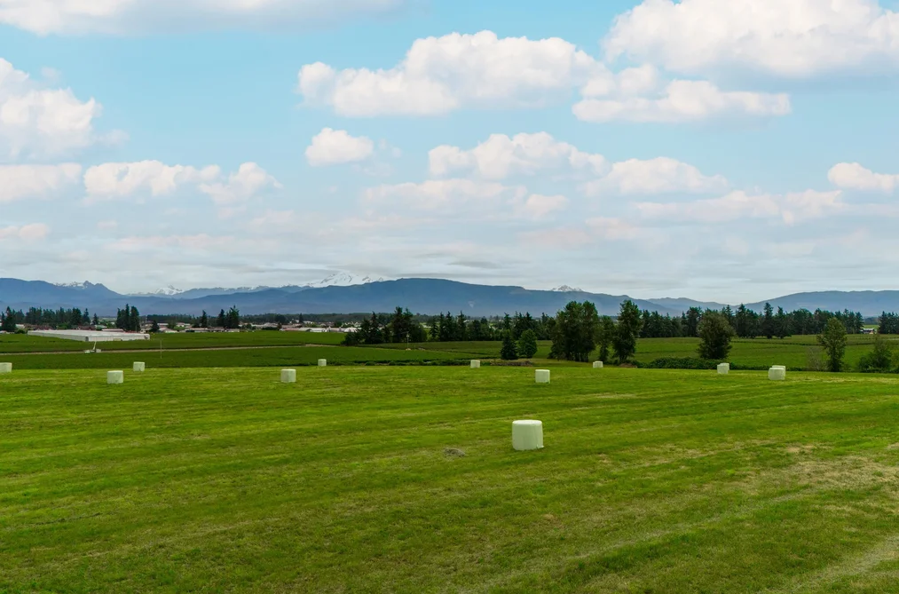 28310 HUNTINGDON ROAD, Abbotsford BC V4X 1A3, Abbotsford BC — Land for Sale — Photo 3 of 20