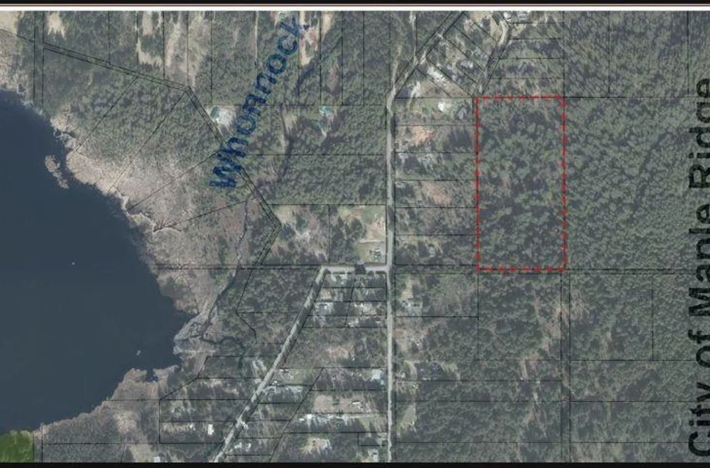 Property for sale at 28409 116 Avenue Maple Ridge British Columbia - MLS: R3065065