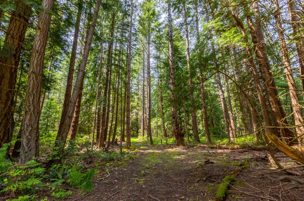 286 ORCA VIEW LANE, Galiano Island BC V0N 1P0, Galiano Island BC — Land for Sale - Photo 3