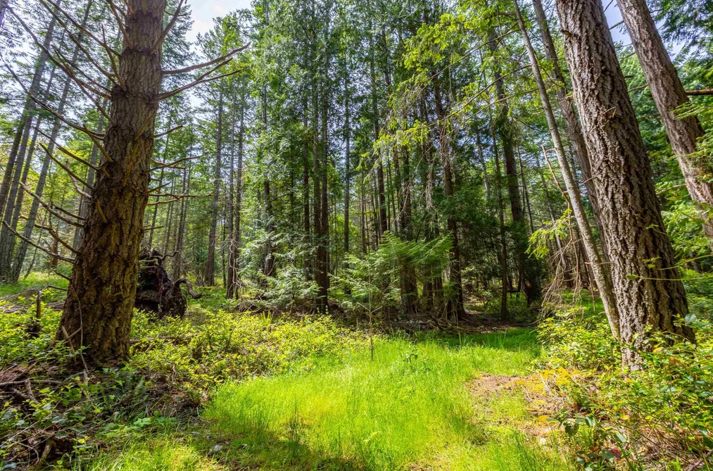 286 ORCA VIEW LANE, Galiano Island BC V0N 1P0, Galiano Island BC — Land for Sale - Photo 4