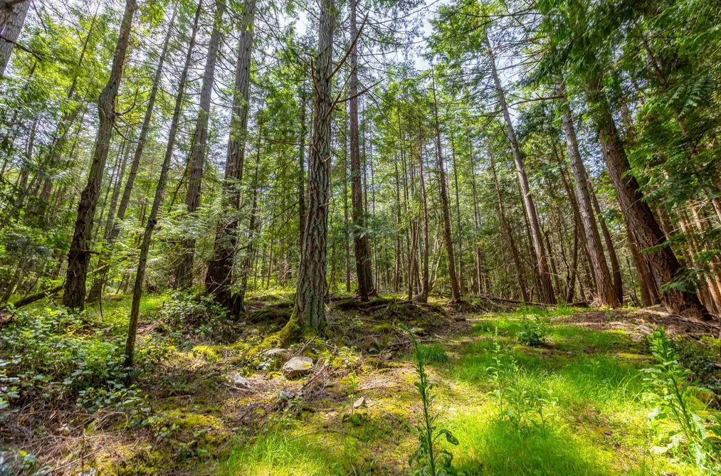 286 ORCA VIEW LANE, Galiano Island BC V0N 1P0, Galiano Island BC — Land for Sale - Photo 5