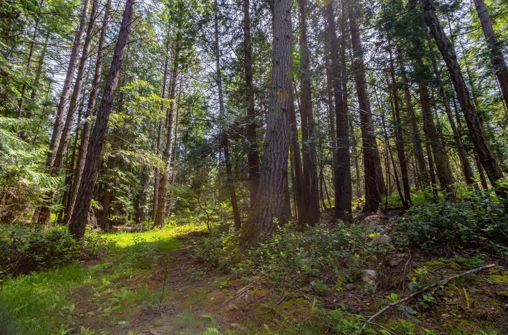 286 ORCA VIEW LANE, Galiano Island BC V0N 1P0, Galiano Island BC — Land for Sale - Photo 6