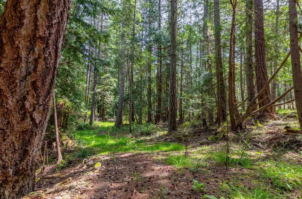 286 ORCA VIEW LANE, Galiano Island BC V0N 1P0, Galiano Island BC — Land for Sale - Photo 7