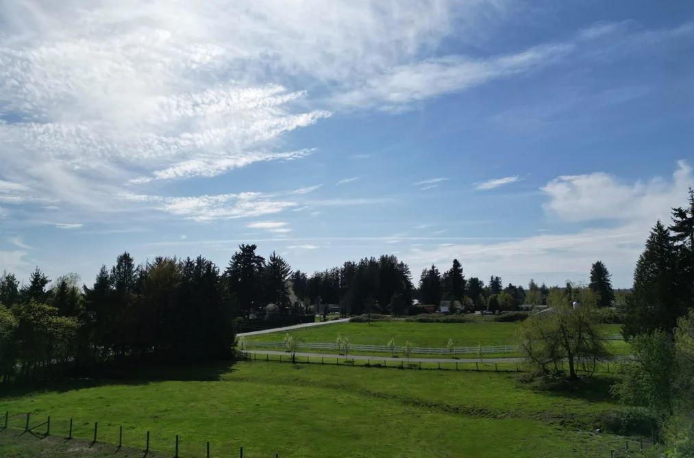 Property for sale at 28927 Buchanan Avenue Abbotsford British Columbia - MLS: R3114021