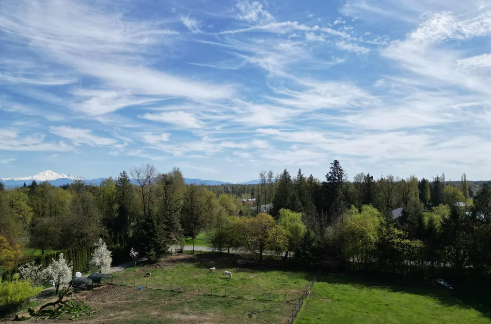 28927 BUCHANAN AVENUE, Abbotsford BC V4X 2C8, Abbotsford BC — Land for Sale - Photo 5