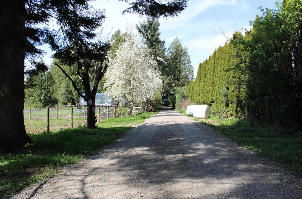 28927 BUCHANAN AVENUE, Abbotsford BC V4X 2C8, Abbotsford BC — Land for Sale - Photo 6