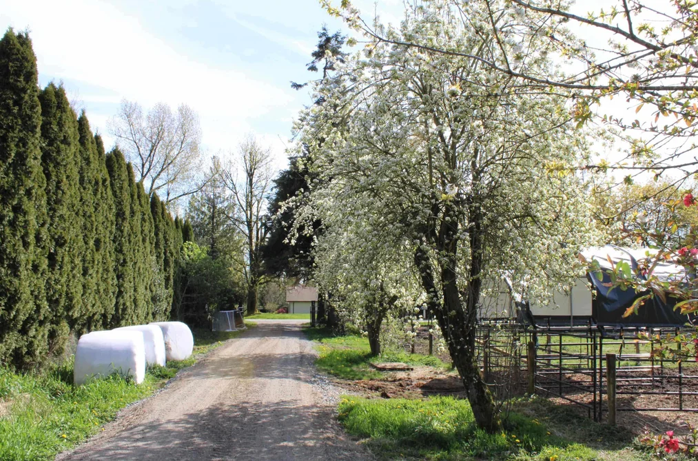 28927 BUCHANAN AVENUE, Abbotsford BC V4X 2C8, Abbotsford BC — Land for Sale - Photo 7