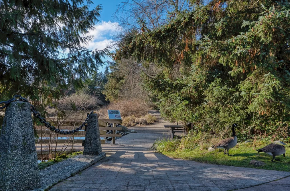 29-5761 Wharf Avenue, Sechelt, BC - Townhouse for Sale - Photo 30 of 40 29-5761 Wharf Avenue, Sechelt, BC - Townhouse for Sale - Photo 30 of 40