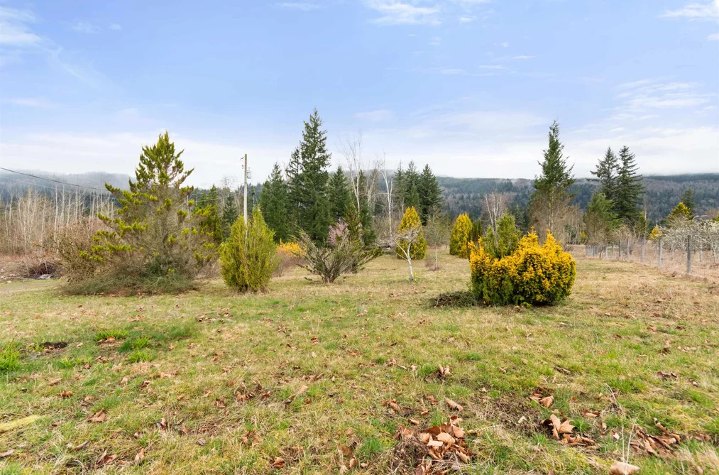 290 COLTER ROAD, Columbia Valley BC V2R 5B8, Columbia Valley BC — Residential for Sale - Photo 4