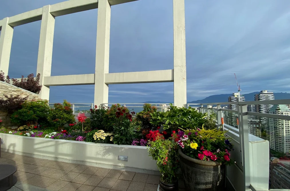 Condo for sale at 2901 1455 Howe Street Vancouver British Columbia - MLS: R3144529