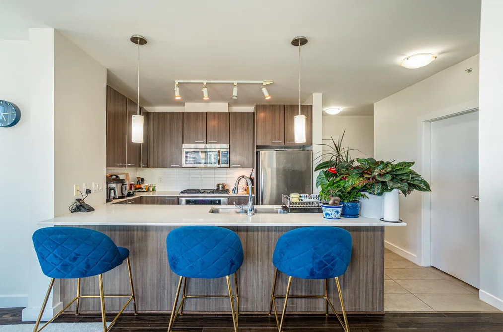 2905 2955 ATLANTIC AVENUE, Coquitlam BC V3B 0H9, Coquitlam BC — Residential for Sale - Photo 3
