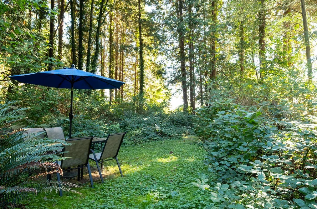 2909 Latimer Road, Roberts Creek, BC - House for Sale - Photo 8 of 29 2909 Latimer Road, Roberts Creek, BC - House for Sale - Photo 8 of 29