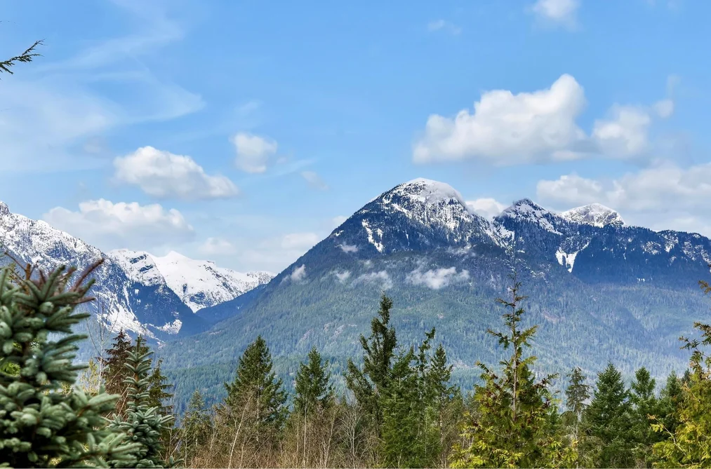 2934 HUCKLEBERRY DRIVE, Squamish BC V8B 1B2, Squamish BC — Land for Sale - Photo 5